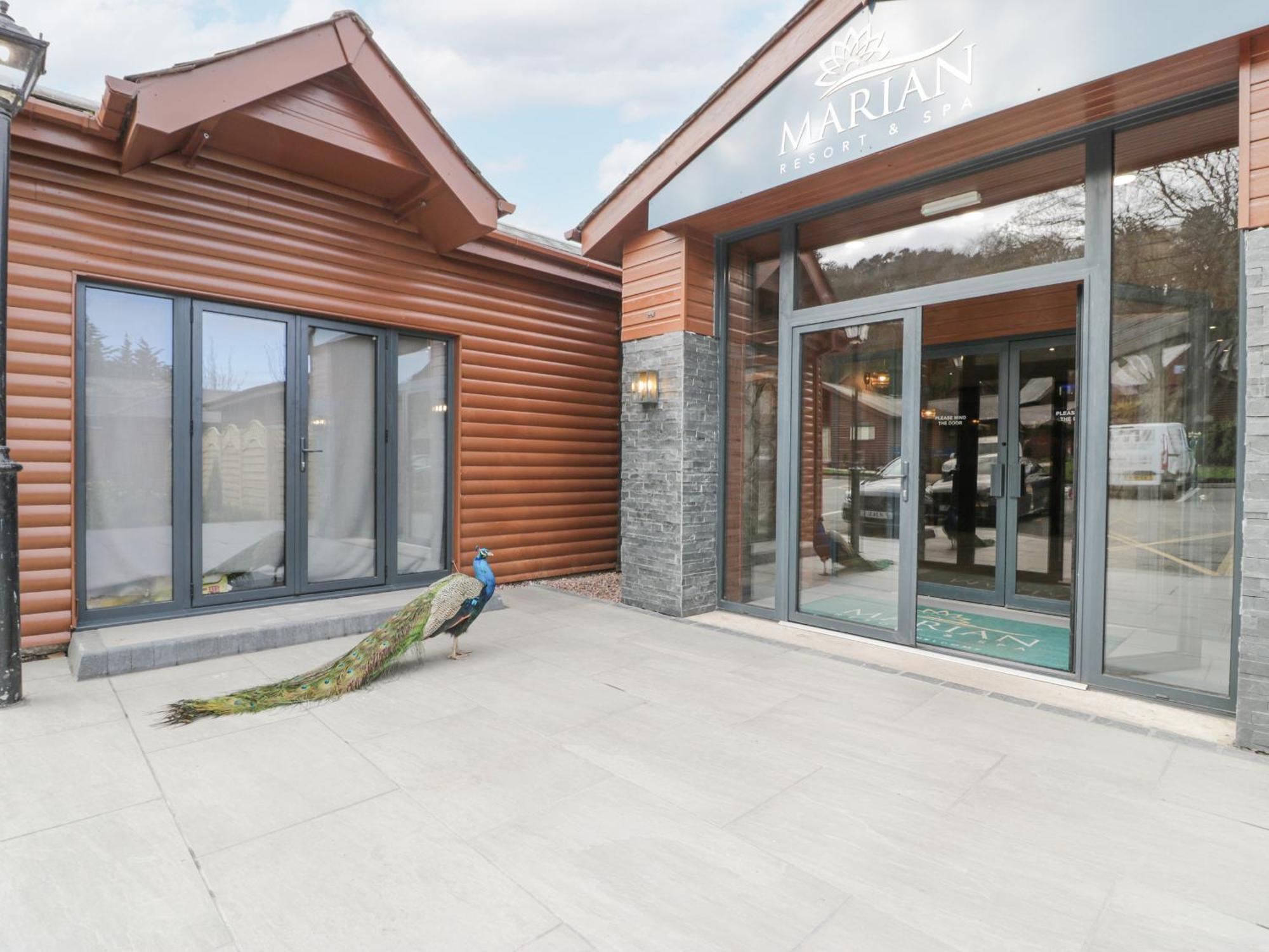 Luxury Lodge 62 ريل المظهر الخارجي الصورة